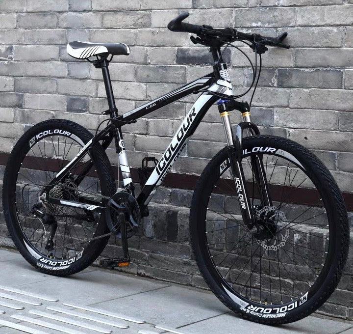 Icolour mountain 2025 bike