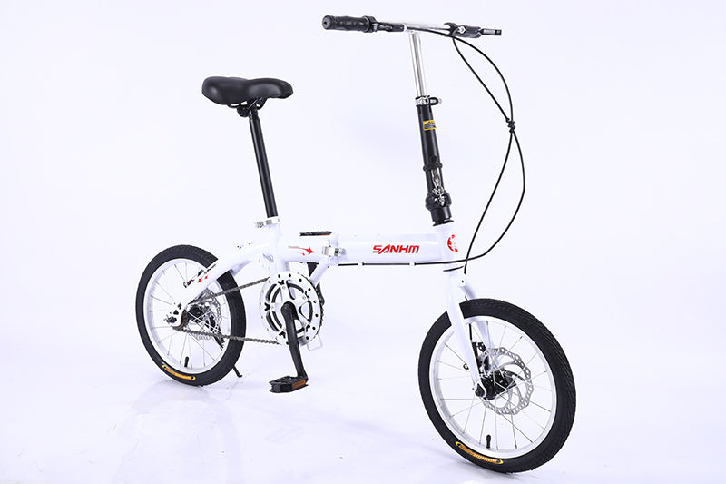 Sanam 2025 foldable bike