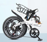 20" Phoenix Foldable bike