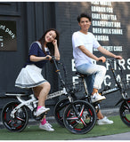 20" Phoenix Foldable bike